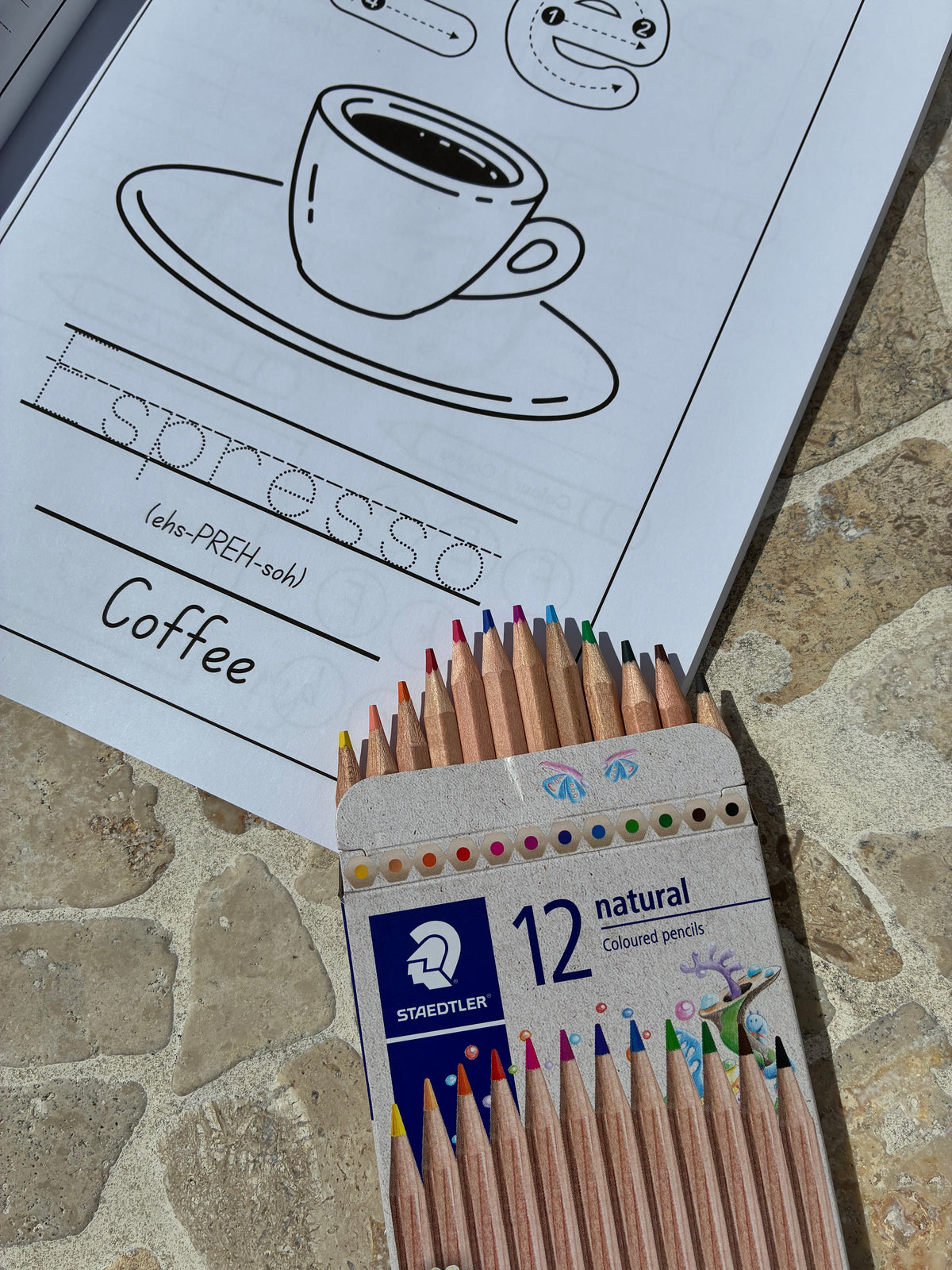 Coloured Pencils - 12 Pack