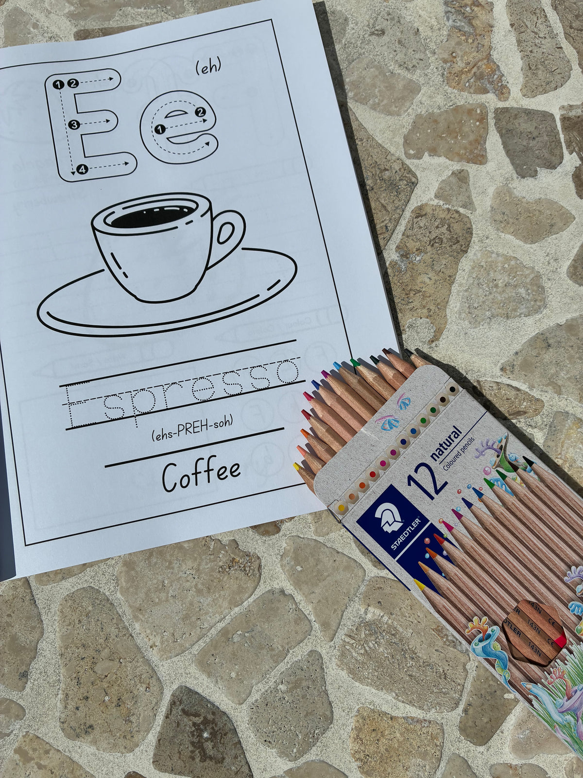 Coloured Pencils - 12 Pack