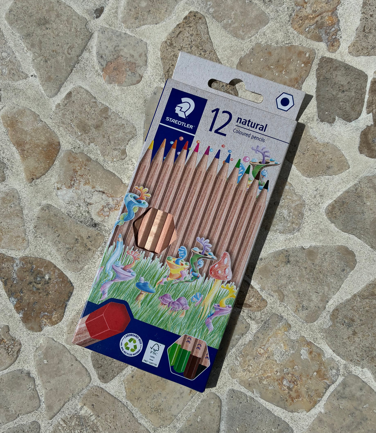 Coloured Pencils - 12 Pack