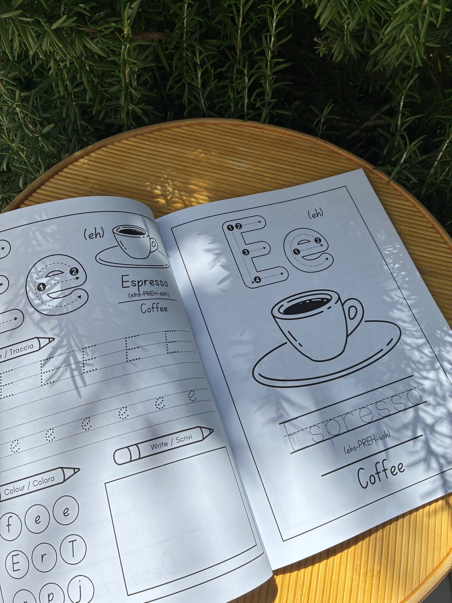 The Foundations Bundle